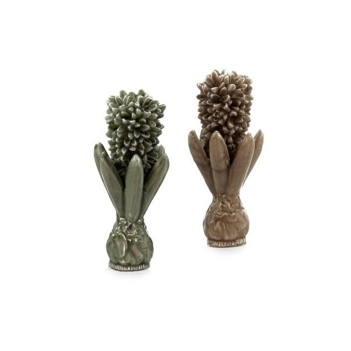 CANDELA GIACINTO 2 ASSORTITI